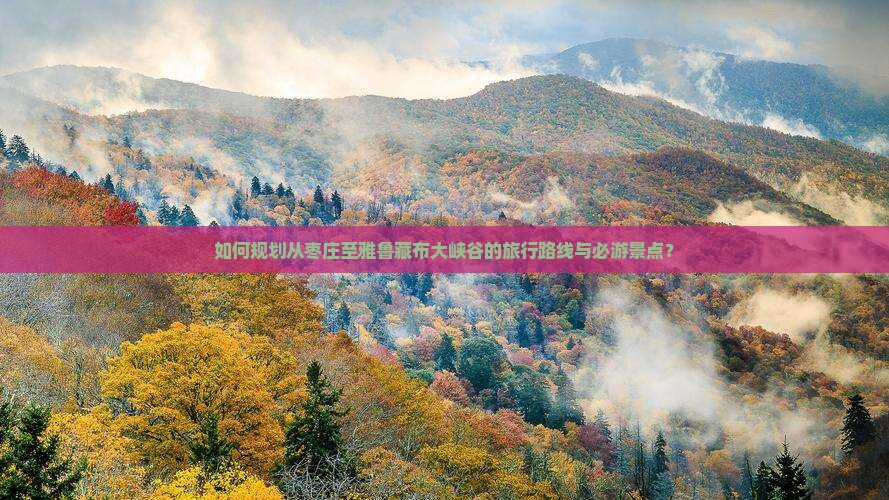 如何规划从枣庄至雅鲁藏布大峡谷的旅行路线与必游景点？