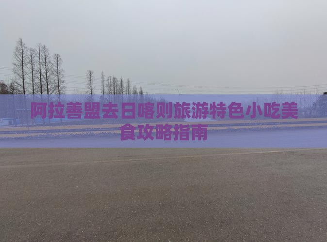 阿拉善盟去日喀则旅游特色小吃美食攻略指南
