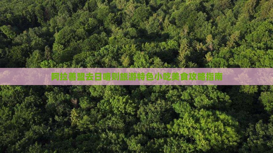 阿拉善盟去日喀则旅游特色小吃美食攻略指南