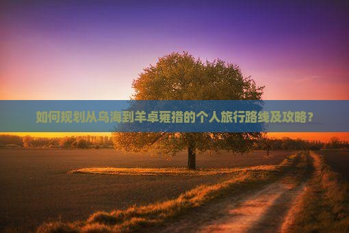 如何规划从乌海到羊卓雍措的个人旅行路线及攻略？
