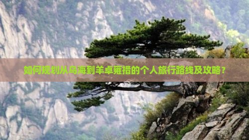 如何规划从乌海到羊卓雍措的个人旅行路线及攻略？