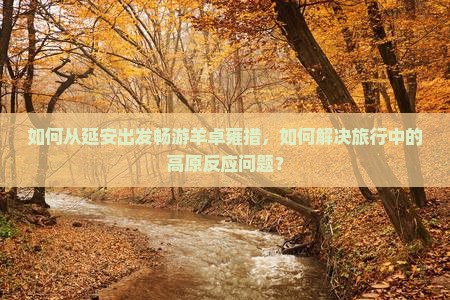 如何从延安出发畅游羊卓雍措，如何解决旅行中的高原反应问题？