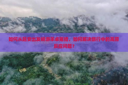 如何从延安出发畅游羊卓雍措，如何解决旅行中的高原反应问题？