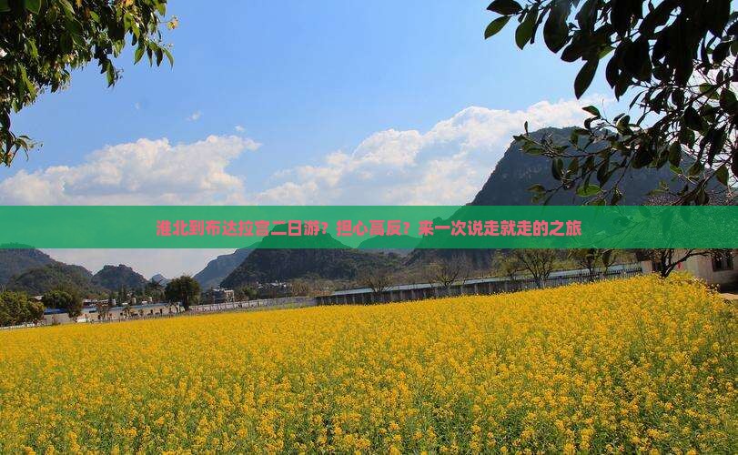淮北到布达拉宫二日游?担心高反?来一次说走就走的之旅 淮北到布达拉宫二日游?担心高反?来一次说走就走的之旅