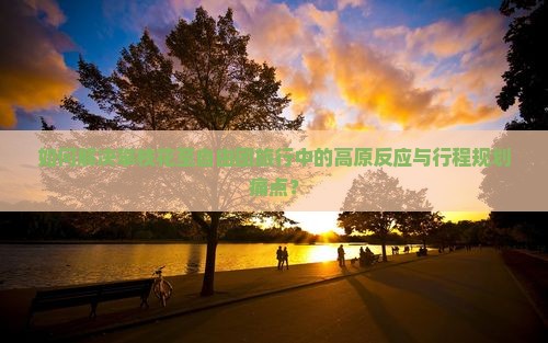如何解决攀枝花至自由团旅行中的高原反应与行程规划痛点？