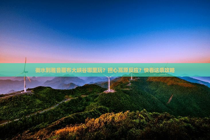 衡水到雅鲁藏布大峡谷哪里玩？担心高原反应？快看这条攻略