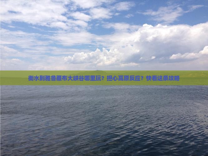 衡水到雅鲁藏布大峡谷哪里玩？担心高原反应？快看这条攻略