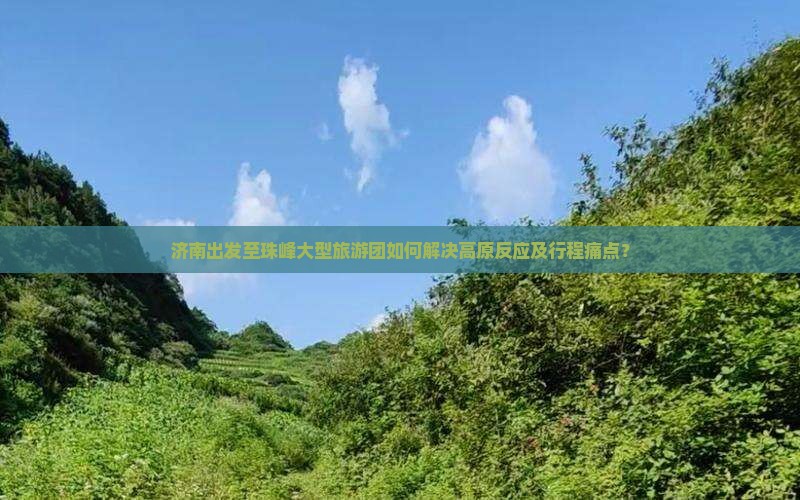济南出发至珠峰大型旅游团如何解决高原反应及行程痛点？