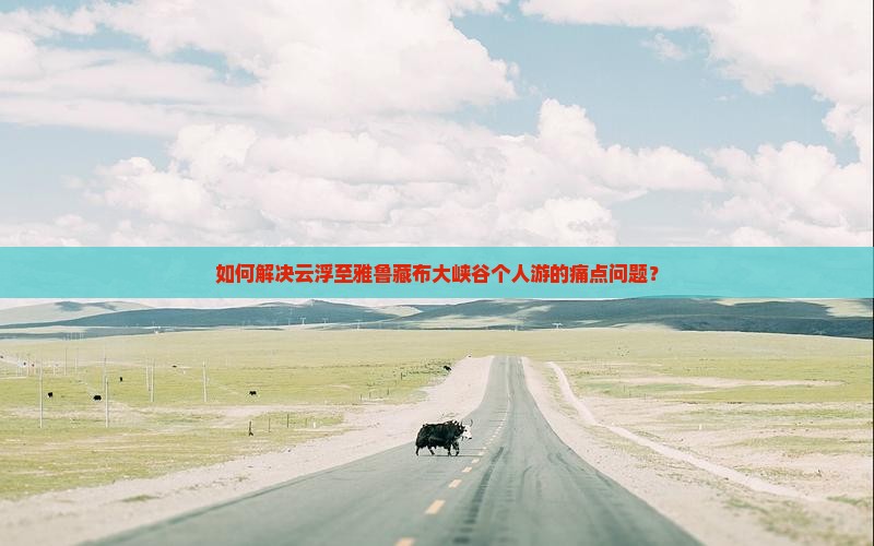 如何解决云浮至雅鲁藏布大峡谷个人游的痛点问题？