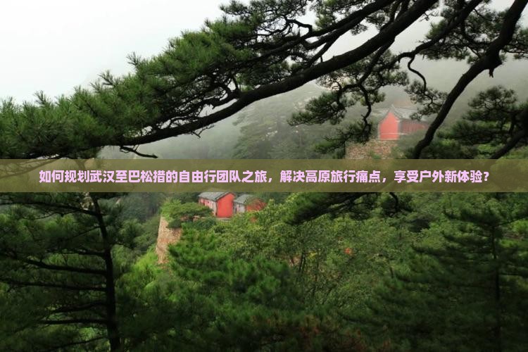 如何规划武汉至巴松措的自由行团队之旅，解决高原旅行痛点，享受户外新体验？