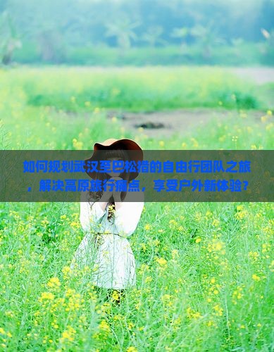 如何规划武汉至巴松措的自由行团队之旅，解决高原旅行痛点，享受户外新体验？