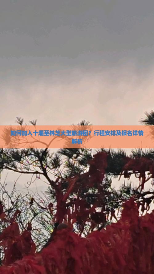 如何加入十堰至林芝大型旅游团？行程安排及报名详情解析
