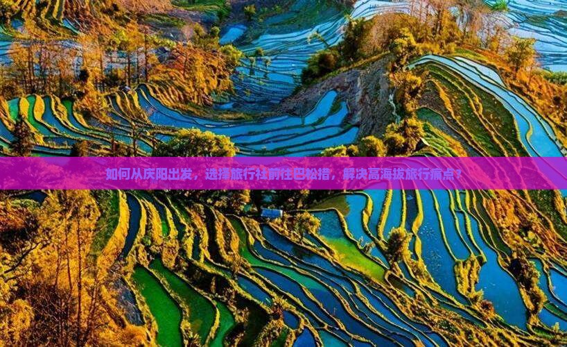 如何从庆阳出发，选择旅行社前往巴松措，解决高海拔旅行痛点？