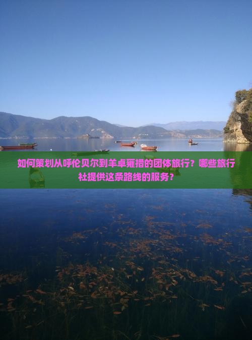 如何策划从呼伦贝尔到羊卓雍措的团体旅行？哪些旅行社提供这条路线的服务？