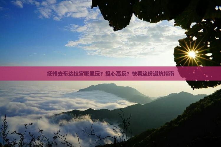 抚州去布达拉宫哪里玩？担心高反？快看这份避坑指南