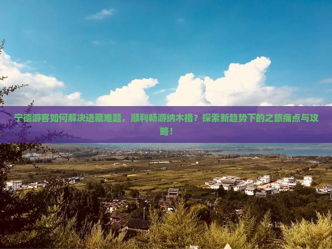 宁德游客如何解决进藏难题，顺利畅游纳木措？探索新趋势下的之旅痛点与攻略！