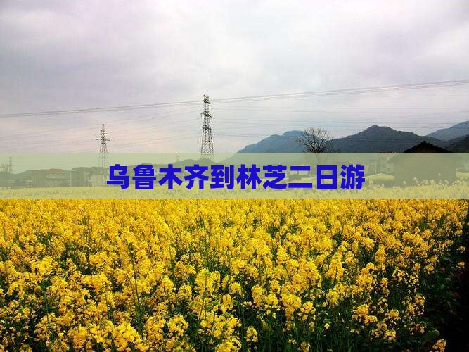 乌鲁木齐到林芝二日游