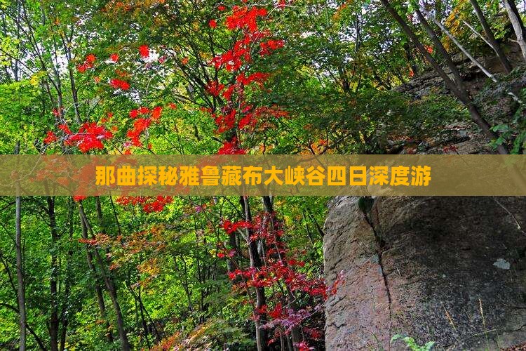 那曲探秘雅鲁藏布大峡谷四日深度游