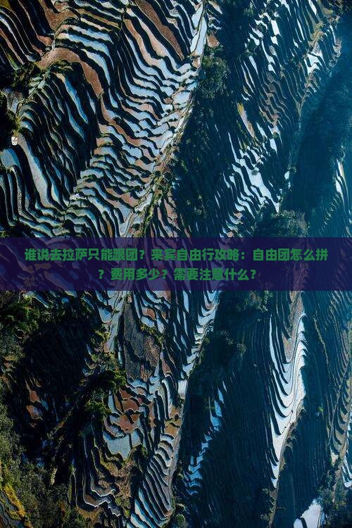 谁说去拉萨只能跟团？来宾自由行攻略：自由团怎么拼？费用多少？需要注意什么？