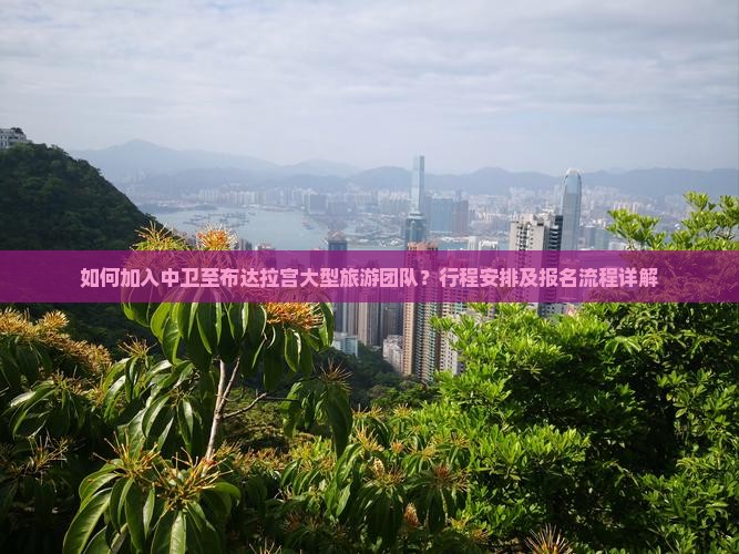 如何加入中卫至布达拉宫大型旅游团队？行程安排及报名流程详解
