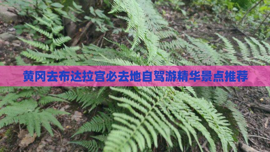 黄冈去布达拉宫必去地自驾游精华景点推荐