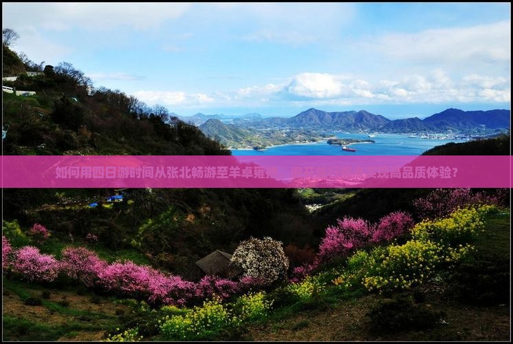 如何用四日游时间从张北畅游至羊卓雍措,避开旅行痛点实现高品质体验? 如何用四日游时间从张北畅游至羊卓雍措,避开旅行痛点实现高品质体验?