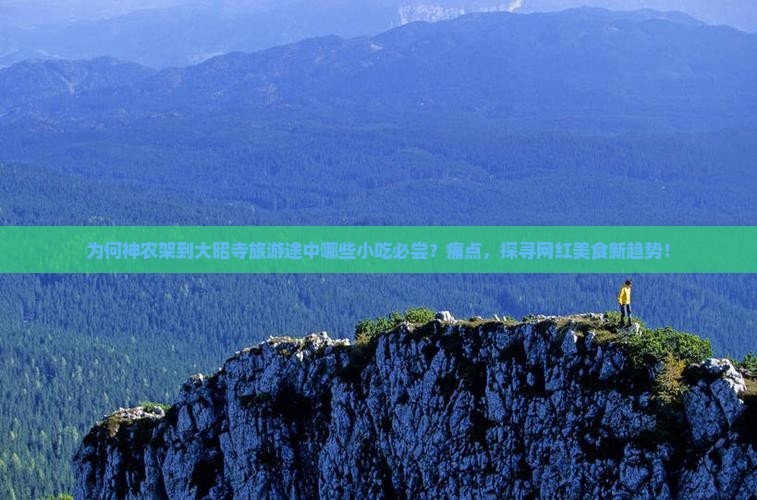 为何神农架到大昭寺旅游途中哪些小吃必尝？痛点，探寻网红美食新趋势！