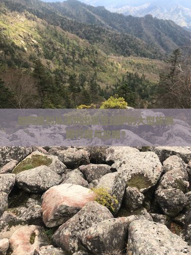 如何规划从漳州出发至拉萨的大型旅游团行程与攻略？
