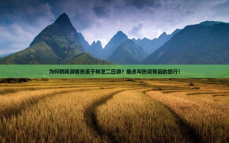 为何鹤岗游客热衷于林芝二日游？痛点与热词背后的旅行！
