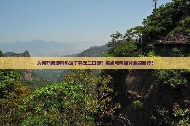 为何鹤岗游客热衷于林芝二日游？痛点与热词背后的旅行！