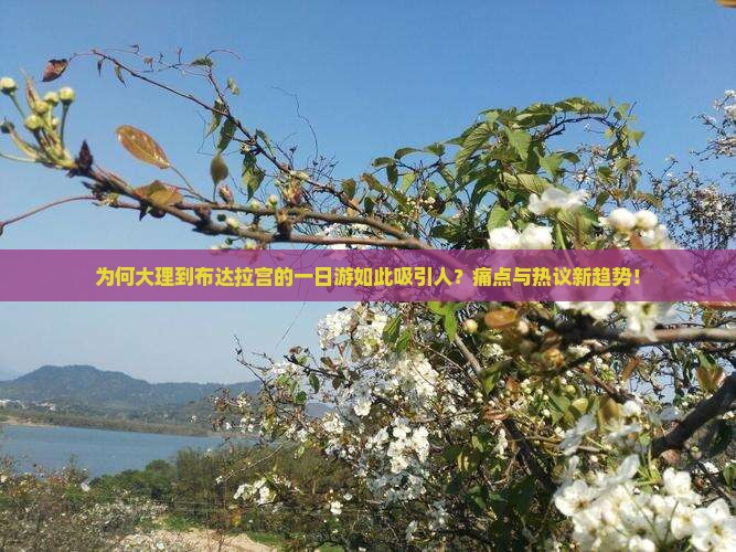 为何大理到布达拉宫的一日游如此吸引人？痛点与热议新趋势！