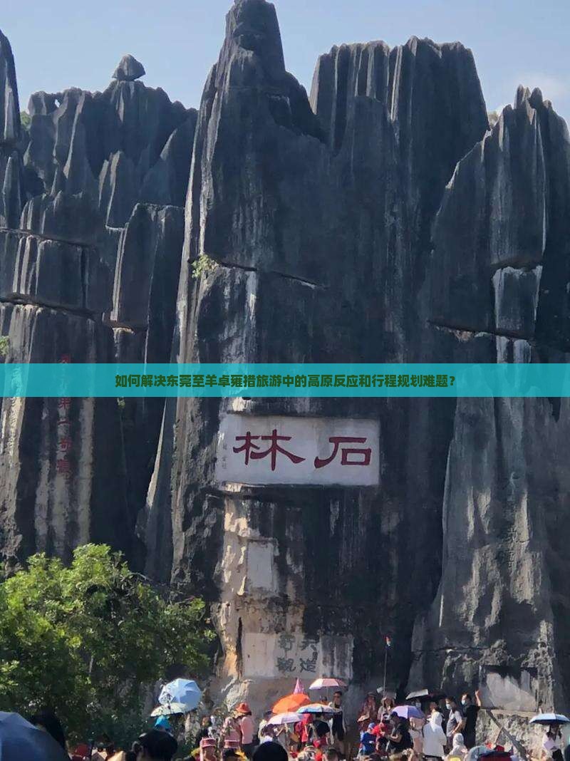 如何解决东莞至羊卓雍措旅游中的高原反应和行程规划难题？