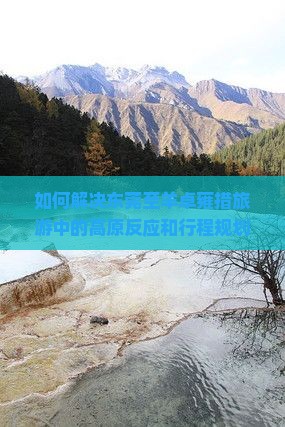如何解决东莞至羊卓雍措旅游中的高原反应和行程规划难题？