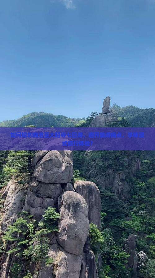 如何规划商洛至大昭寺七日游，避开旅游痛点，享柿浸式旅行体验？