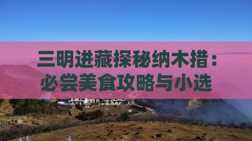 三明进藏探秘纳木措：必尝美食攻略与小选