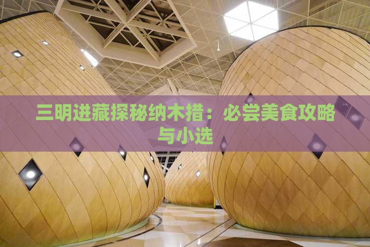 三明进藏探秘纳木措：必尝美食攻略与小选