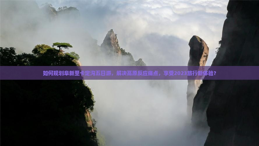 如何规划阜新至卡定沟五日游，解决高原反应痛点，享受2023旅行新体验？
