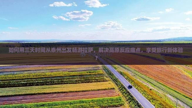 如何用三天时间从泰州出发畅游拉萨，解决高原反应痛点，享受旅行新体验？