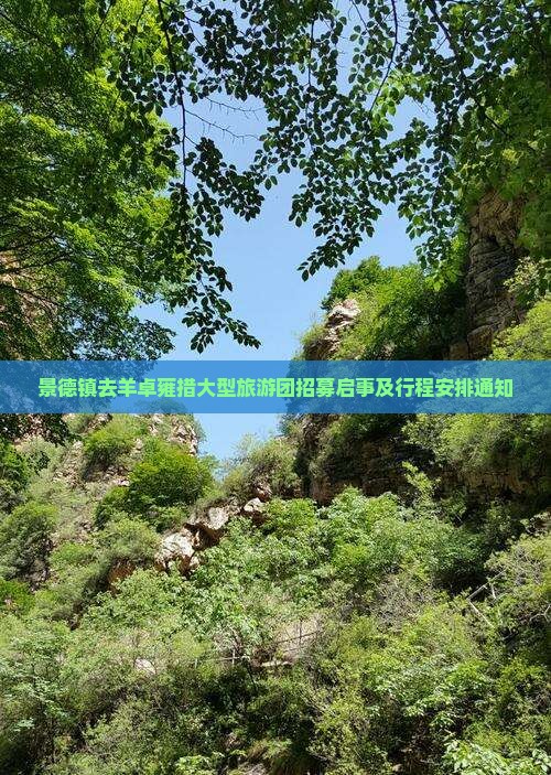 景德镇去羊卓雍措大型旅游团招募启事及行程安排通知