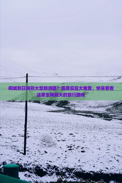 桐城到日喀则大型旅游团？高原反应太难受，快来看看这条全网最火的旅行路线