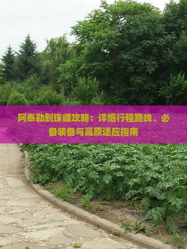 阿泰勒到珠峰攻略：详细行程路线、必备装备与高原适应指南