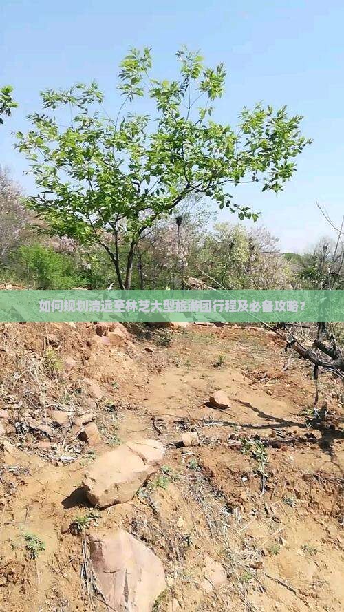 如何规划清远至林芝大型旅游团行程及必备攻略？