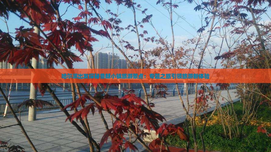哈尔滨出发探秘鲁朗小镇旅游景点：专题之旅引领旅游新体验