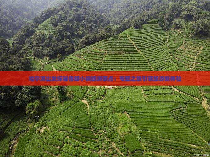 哈尔滨出发探秘鲁朗小镇旅游景点：专题之旅引领旅游新体验