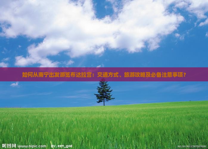如何从南宁出发游览布达拉宫：交通方式、旅游攻略及必备注意事项？