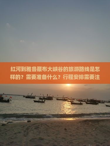 红河到雅鲁藏布大峡谷的旅游路线是怎样的？需要准备什么？行程安排需要注意哪些问题？