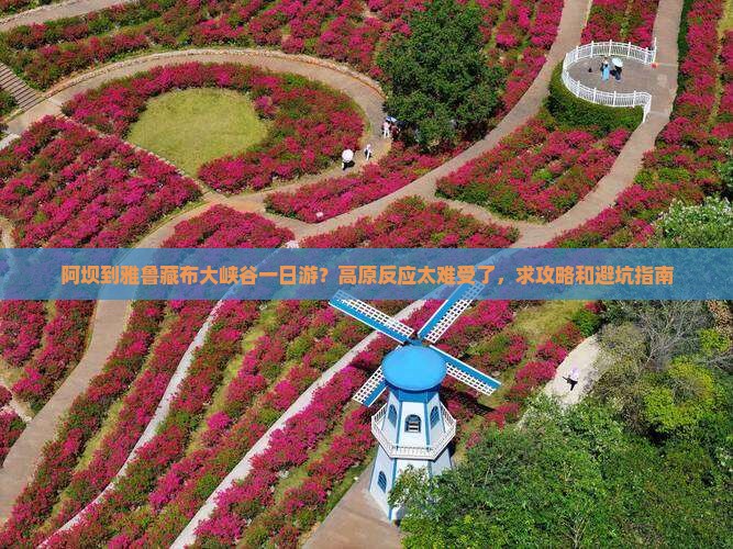 阿坝到雅鲁藏布大峡谷一日游？高原反应太难受了，求攻略和避坑指南
