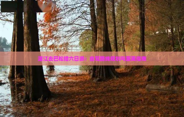 湛江去巴松措六日游：自驾路线规划与距离指南