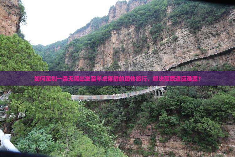 如何策划一条无锡出发至羊卓雍措的团体旅行，解决高原适应难题？