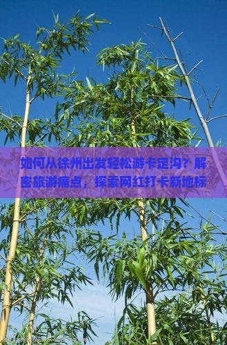 如何从徐州出发轻松游卡定沟？解密旅游痛点，探索网红打卡新地标！